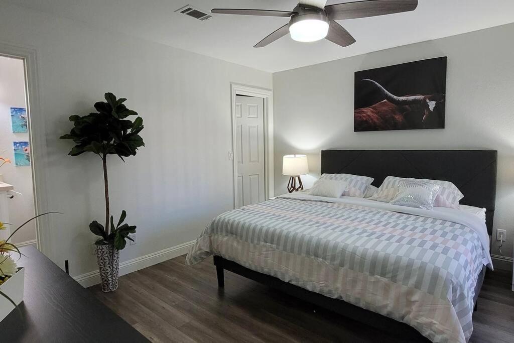 L - Fully Remodeled And Professionally Decorated Las Vegas Eksteriør billede